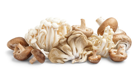 Heap of different fresh mushrooms on white background