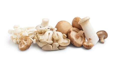 Heap of different fresh mushrooms on white background