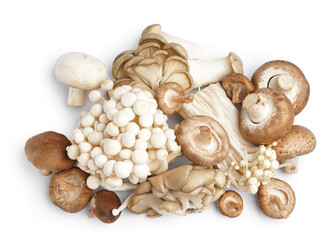 Heap of different fresh mushrooms on white background