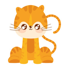 tiger cute animal