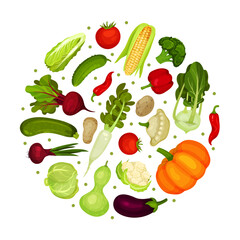 Fresh vegetables in round shape. Farm organic healthy food banner, poster, card design template cartoon vector