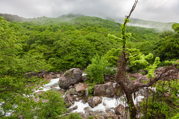 Aerial view of Piagol Valley, Jirisan mountains in spring, lush forest, cascading stream and boulders, South Korea