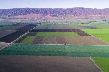 Aerial view of agricultural fields in California, United States. Salinas valley. USA