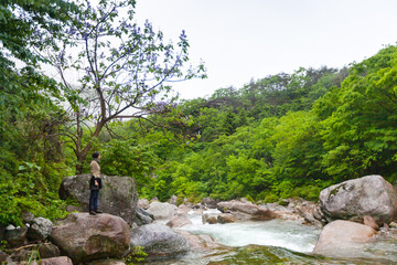 Piagol Valley, South Korea - May 2010: young Korean woman watching Jirisan mountains in spring, lush forest, cascading stream and boulders