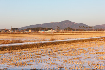 Contrast between rural and urban landscape, snow covered rice fields near Iksan, North Jeolla Province (Jeollabukdo), South Korea