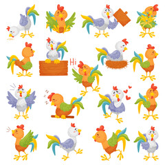 Domestic poultry set. Funny different colorful roosters and hens cartoon vector illustration