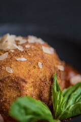 Deep Fried italian food 