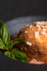 Deep Fried italian food 