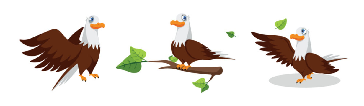 Vector illustration of cute and beautiful bald eagle in cartoon style.Charming characters of an eagle flying, sitting on a branch, looking at a leaf isolated on a white background.