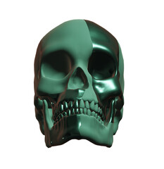 skull, human