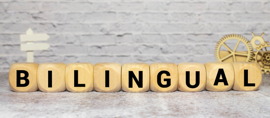 Bilingual. Textbooks, stationery and a wooden stamp on the table.