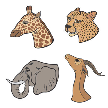 vector graphic illustration with animals