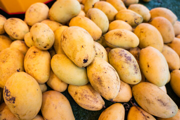 Mango, a photo of fresh yellow mango pile on market table. Ripe tropical fruit closeup. Asian fruit market stall in Thailand 