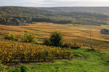 Fototapeta na wymiar Panoramic autuimn view on champagne vineyards and village Hautvillers near Epernay, Champange, France