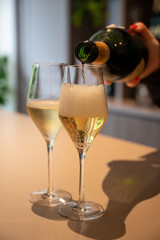 Tasting of brut and reserve champagne sparkling wine produced by traditional method in underground caves in Champagne, France