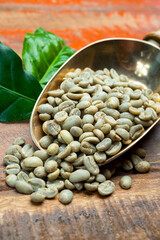 Green coffee beans from South America coffee producing region, from Colombia and Brazil with mountain ranges and climate ideal for coffee growing