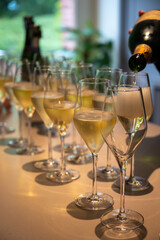 Tasting of brut and reserve champagne sparkling wine produced by traditional method in underground caves in Champagne, France