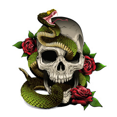 skull snake and roses. Vector illustration