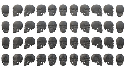 skull, human face