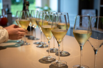 Tasting of brut and reserve champagne sparkling wine produced by traditional method in underground caves in Champagne, France