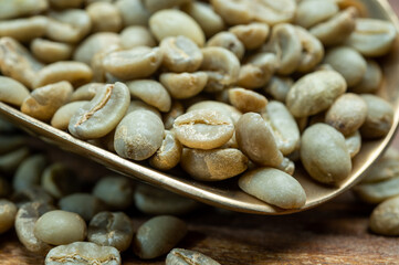 Green coffee beans from South America coffee producing region, from Colombia and Brazil with mountain ranges and climate ideal for coffee growing
