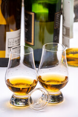 Tasting of whiskey, tulip-shaped tasting glasses with dram of Scotch single malt or blended whisky on white table