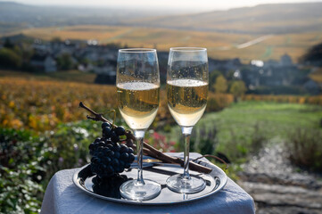 Tasting of premier cru sparkling white wine with bubbles champagne on outdoor terrace with view on...