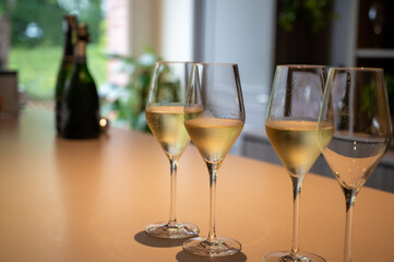 Tasting of brut and reserve champagne sparkling wine produced by traditional method in underground caves in Champagne, France