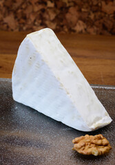 Cheese collection, French brie de Meaux cheese from Seine-et-Marne region with white mold