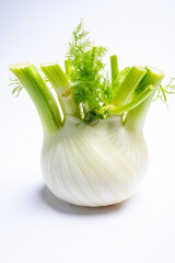 Healthy vegetable diet, raw fresh florence fennel bulbs close up isolated on white background