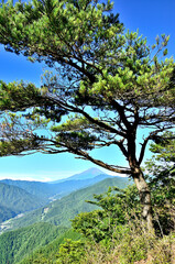 道志山塊の道志山稜縦走コース　赤鞍ヶ岳のウバガ岩より富士山を望む
