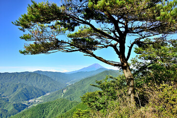 道志山塊の道志山稜縦走コース　赤鞍ヶ岳のウバガ岩より富士山を望む
