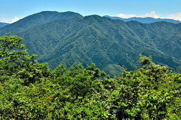 Obraz premium 道志山塊の菜畑山山頂から眺める西丹沢 道志山塊 菜畑山山頂より左から大室山、加入道山、檜洞丸、テシロノ頭、石棚山 