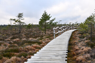Das Schwarze Moor in der Bayrischen Rh&ouml;n