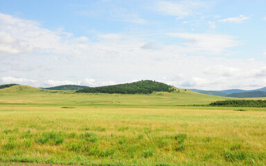 Endless hilly steppe with lush green grass under a summer cloudy sky.
