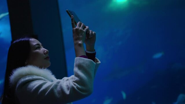 Asian woman using mobile taking picture shoal of fish in large glass tank during travel Aquarium in Japan. Attractive girl enjoy and fun learning and looking sea life at oceanarium on holiday vacation