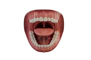 Photorealistic human mouth. 3D illustration. Caries damage. Clean tooth. Isolated background.