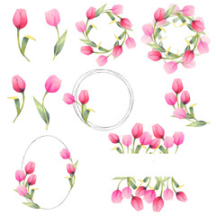 Watercolor illustration with Magenta tulips. Separated elements, frames, wreath and borders. Watercolor spring floral ornament.