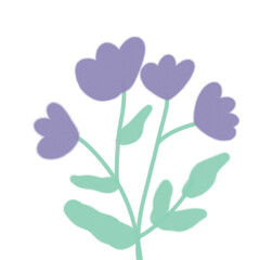 Flowers illustration watercolor