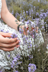 person holding a bunch of flowers