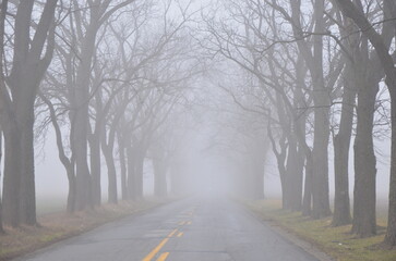 road in the fog