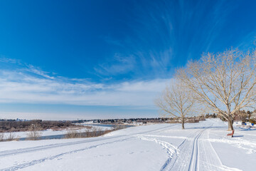 Fototapeta premium Winter Time in Meewasin Park, Saskatoon, Canada