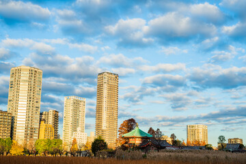 朝日の当たるビル群