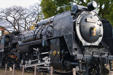 Fototapeta premium 鹿沼公園の蒸気機関車