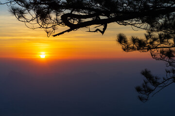 Beautiful orange evening sunset
