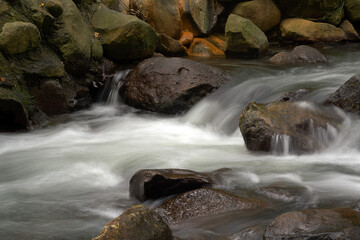 Fototapeta premium waterfall in the forest