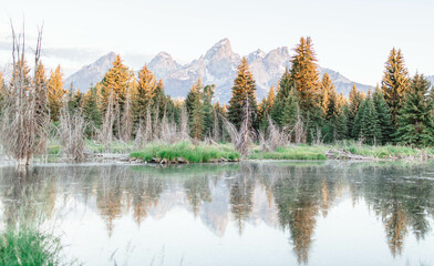 Grand Teton