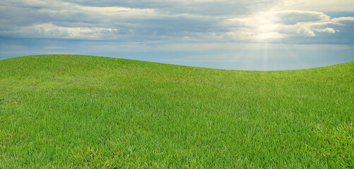 foreground of green grass and cloudy sky