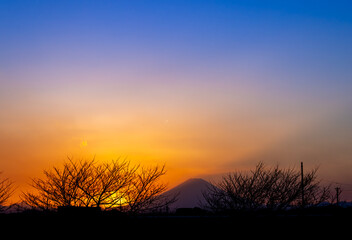 夕暮れの富士山と樹々のシルエット