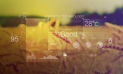 Digital futuristic technology in smart argriculture farm using ai artificial intelligence. Smart farm agriculture concept